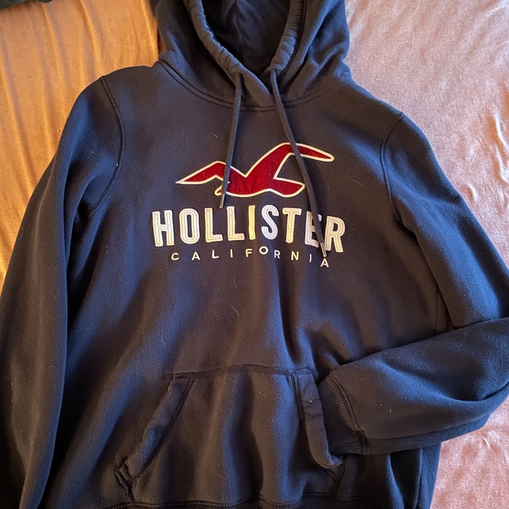 Hollister sweatshirt/hoodie